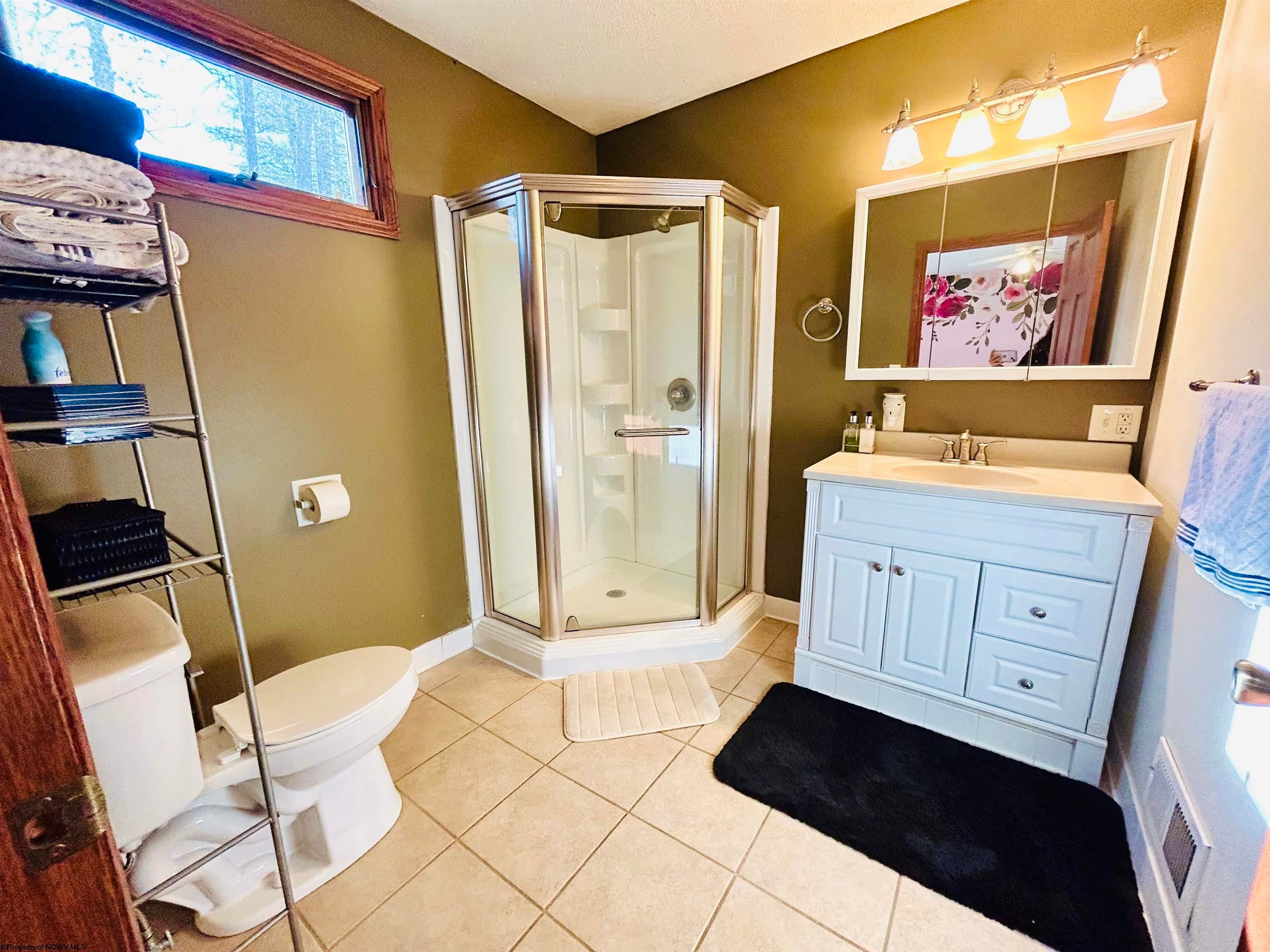 170 Lakeside Road Terra Alta, WV 26764 - Photo 21 of 28 Gallery Image 21
