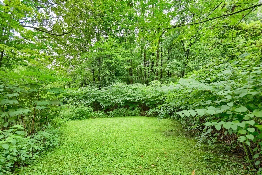5 Leominster Road Princeton, MA 01541 - Photo 28 of 41 a view of a yard with a tree