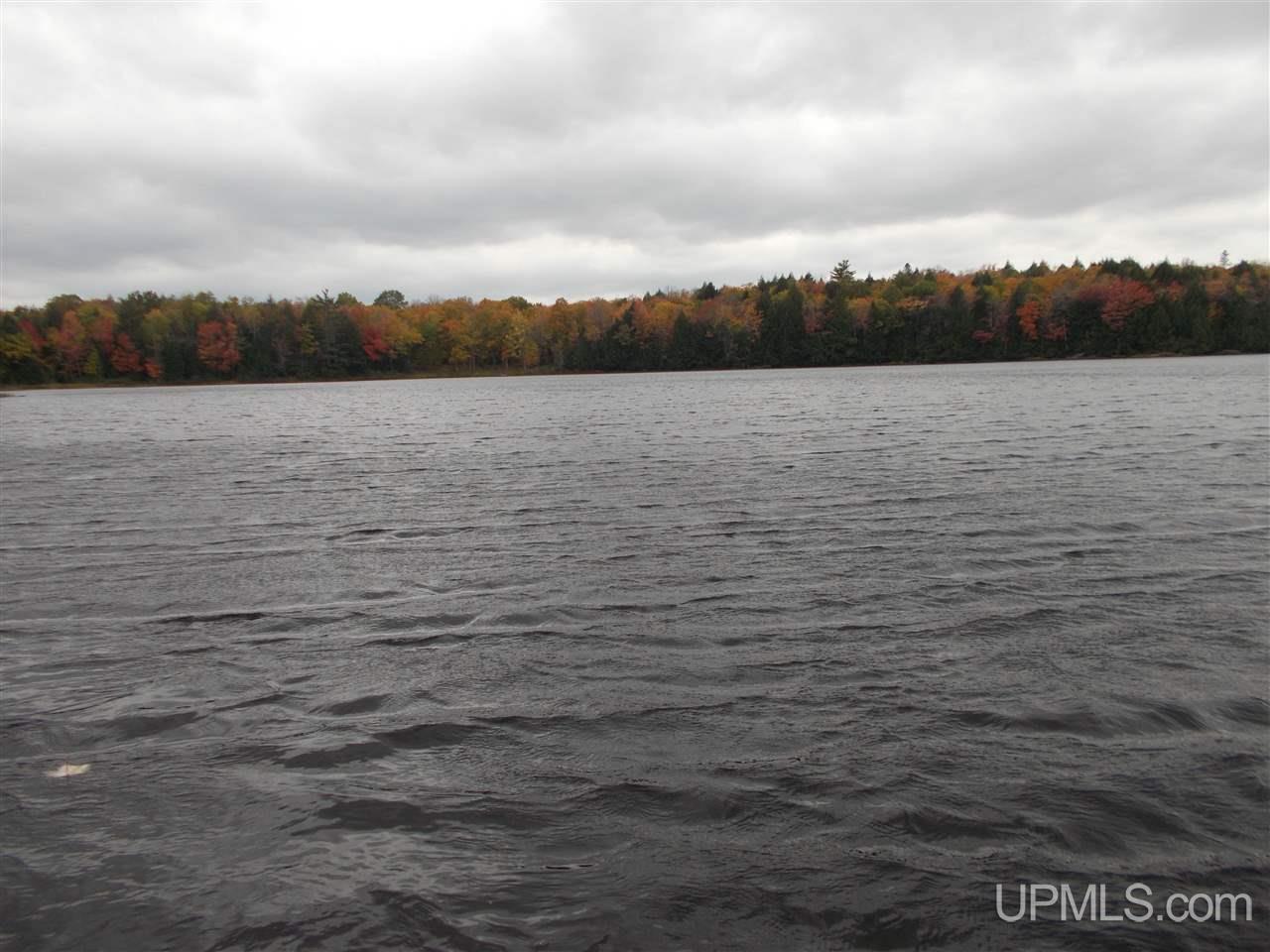 Clark Lake Jack Spurr Road Wakefield, MI 49968 - Photo 11 of 20