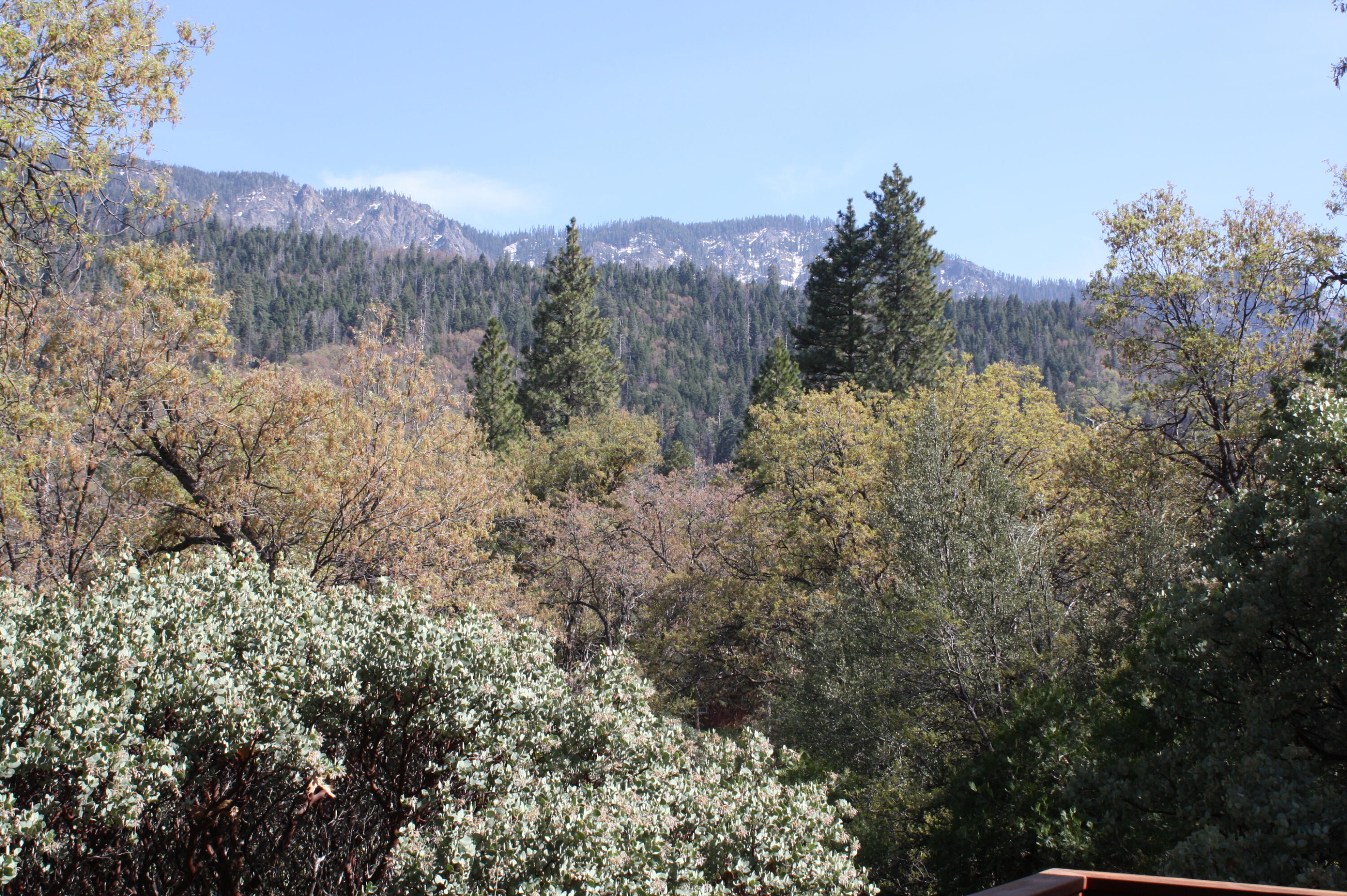 282 Goodan Court Springville, CA 93265 - Photo 32 of 33 View from Deck