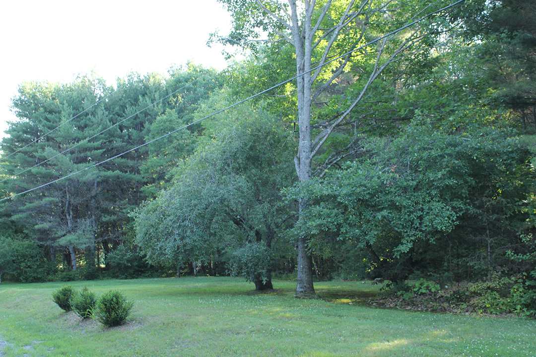 75 Glebe Road, Unit 5 14 15 16 Lyman, NH 03585 - Photo 7 of 10