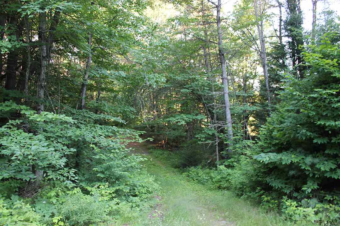 75 Glebe Road, Unit 5 14 15 16 Lyman, NH 03585 - Photo 10 of 10