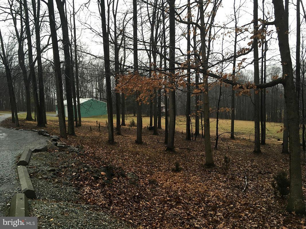 21012 Mousetown Road Boonsboro, MD 21713 - Photo 11 of 12 View