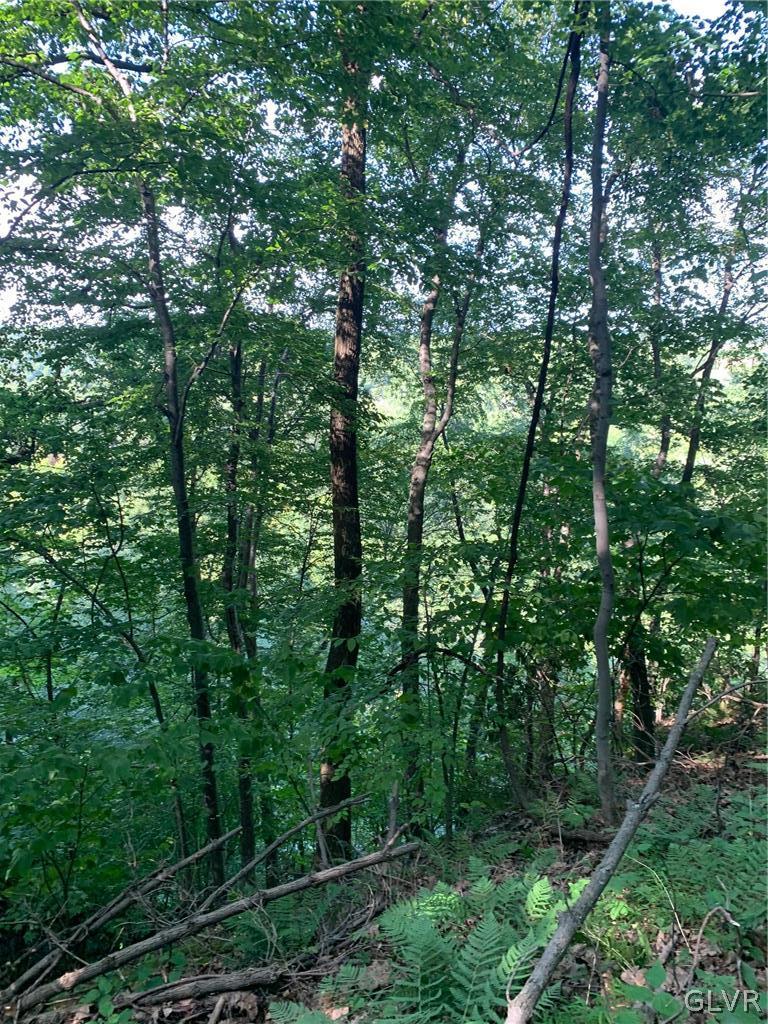 5885 Riverview Road Slatington, PA 18080 - Photo 11 of 17 Gallery Image 11