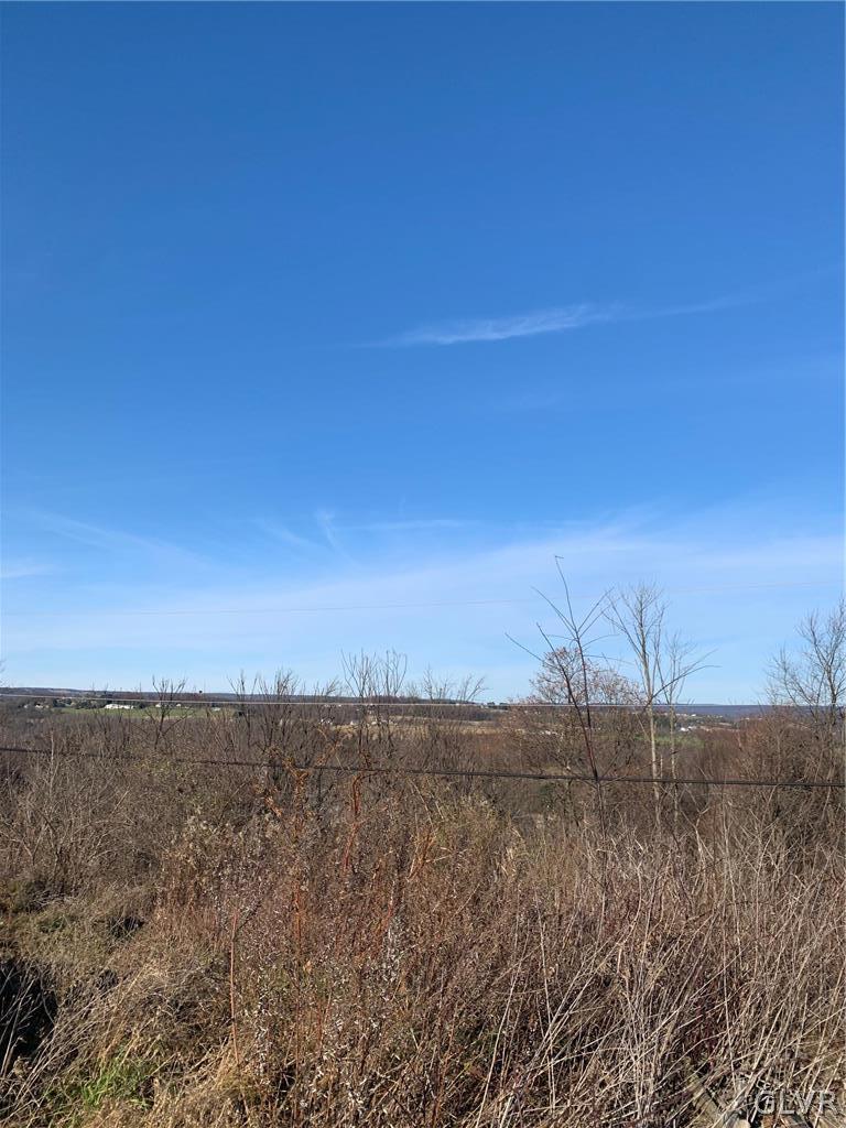 5885 Riverview Road Slatington, PA 18080 - Photo 16 of 17 Gallery Image 16