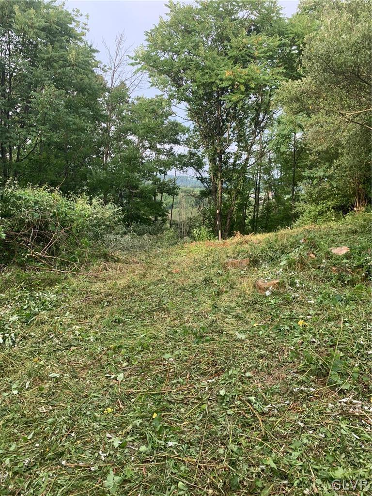 5885 Riverview Road Slatington, PA 18080 - Photo 2 of 17 Gallery Image 2