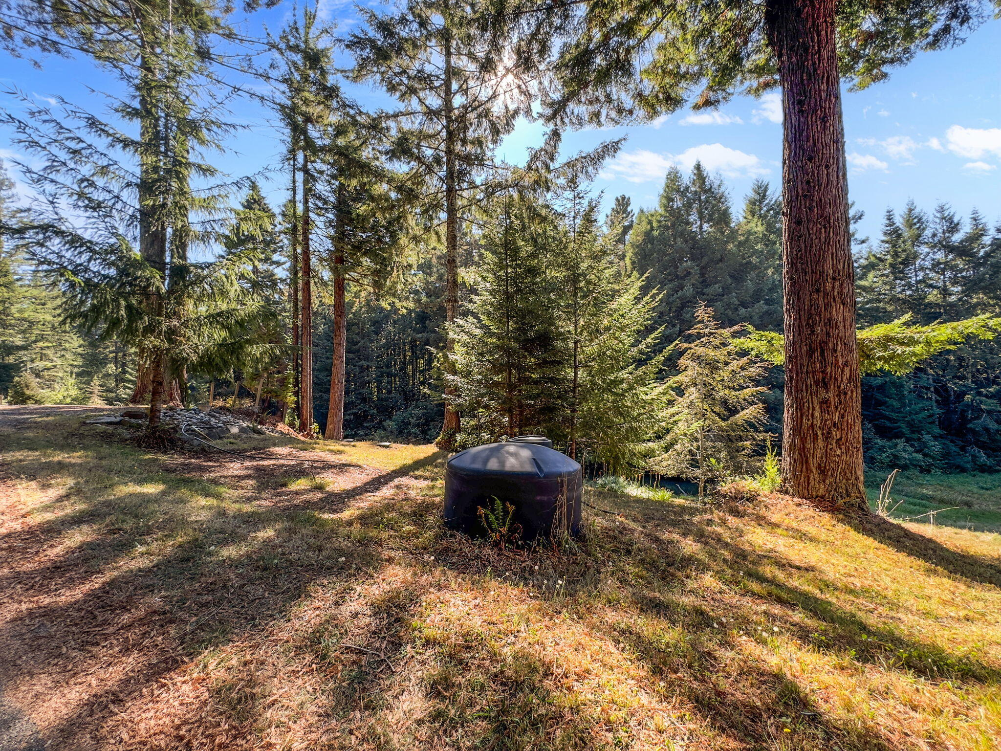 7097 Fickle Hill Road Arcata, CA 95521 - Photo 8 of 43