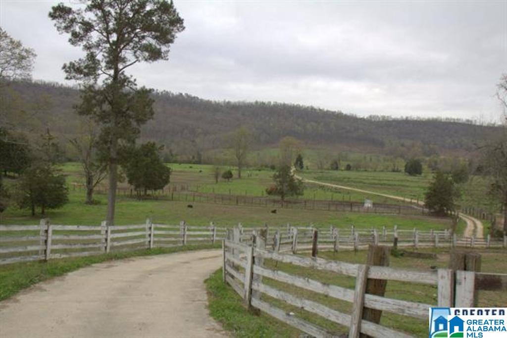 3054 Greensport Road, Unit 141 ACRES Ashville, AL 35953 - Photo 7 of 23
