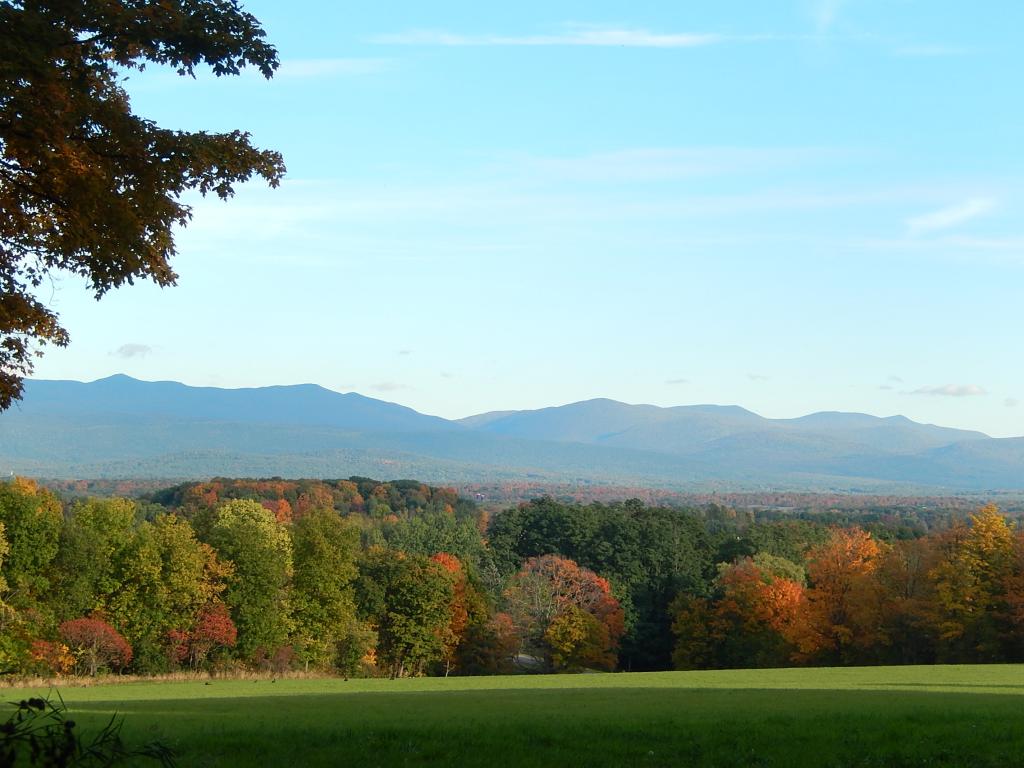 0 Delong Road Cornwall, VT 05753 - Photo 1 of 5