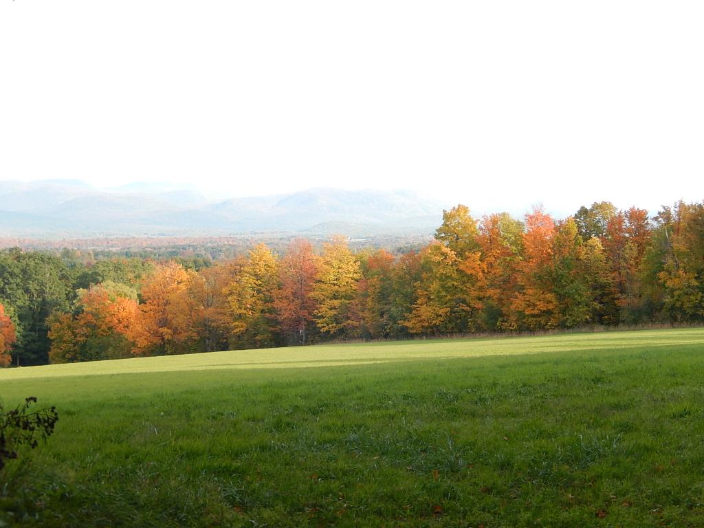 0 Delong Road Cornwall, VT 05753 - Photo 2 of 5