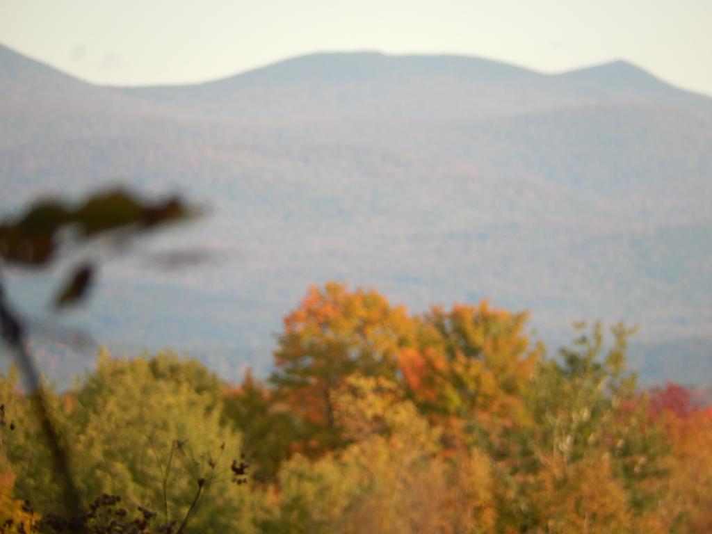 0 Delong Road Cornwall, VT 05753 - Photo 4 of 5