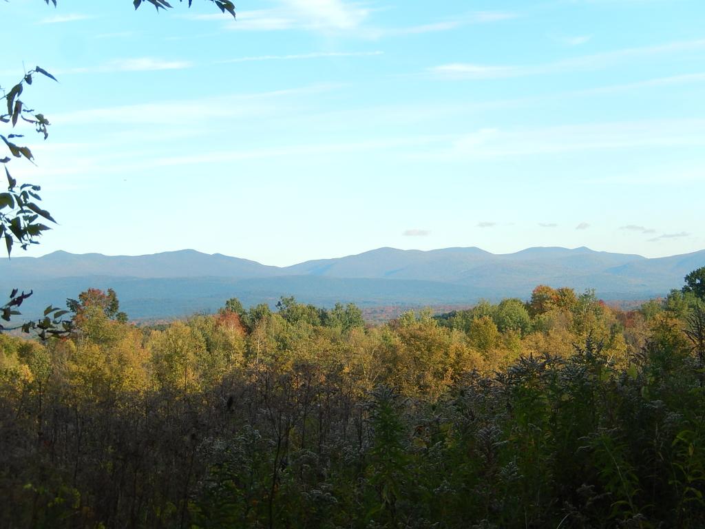 0 Delong Road Cornwall, VT 05753 - Photo 5 of 5