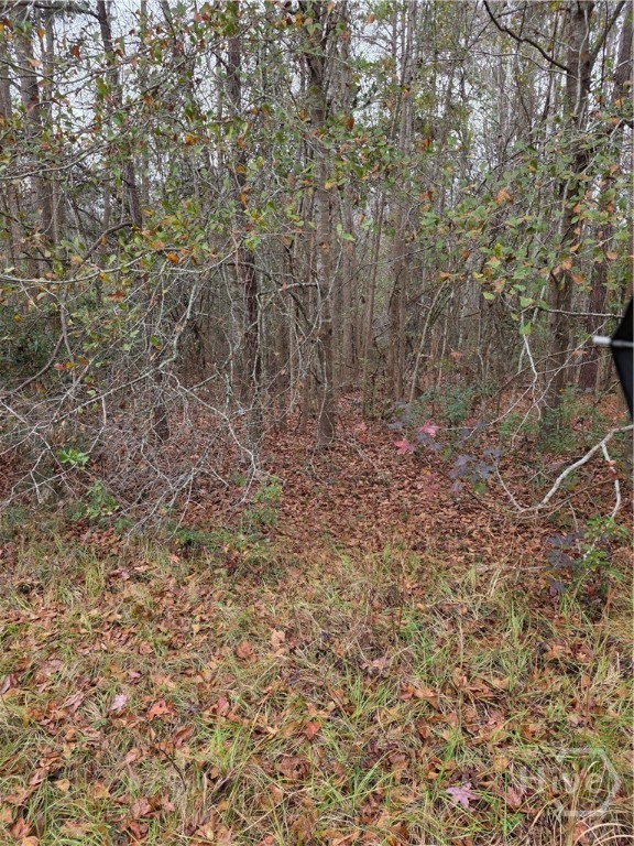 861 Brinson Road Brooklet, GA 30415 - Photo 2 of 6 Gallery Image 2