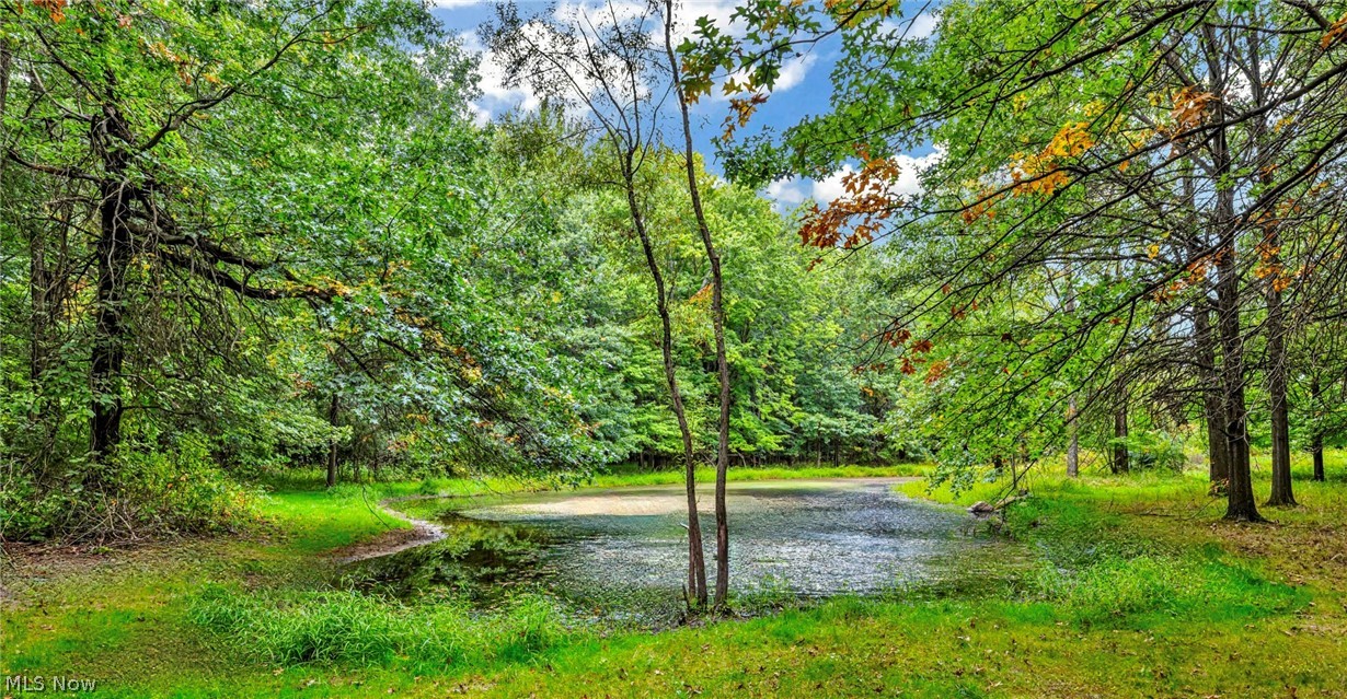 6730 Avon Belden Road North Ridgeville, OH 44039 - Photo 11 of 35 View of property view of water
