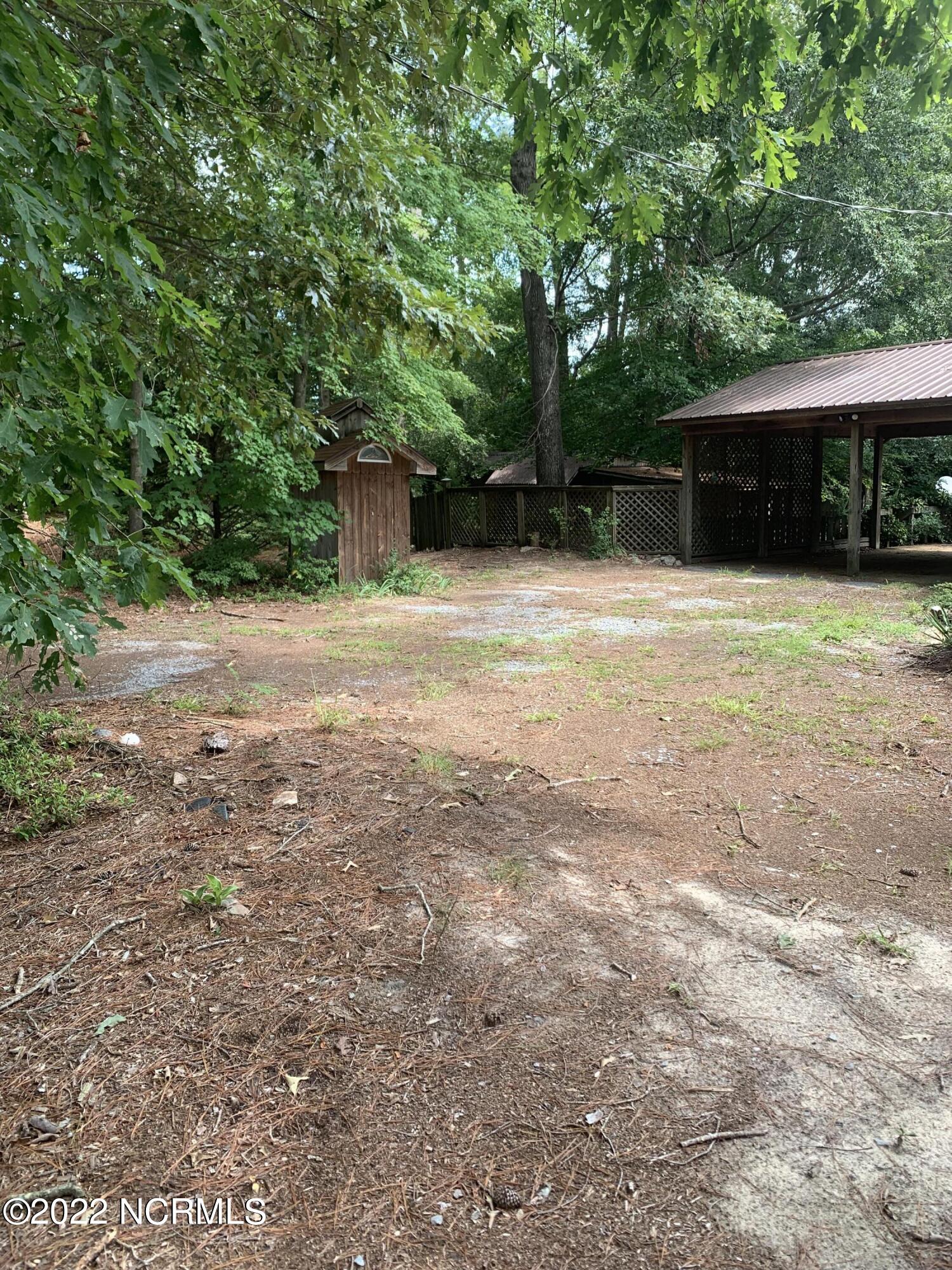 210 Buckhorn Church Road Como, NC 27818 - Photo 3 of 28 Side Yard