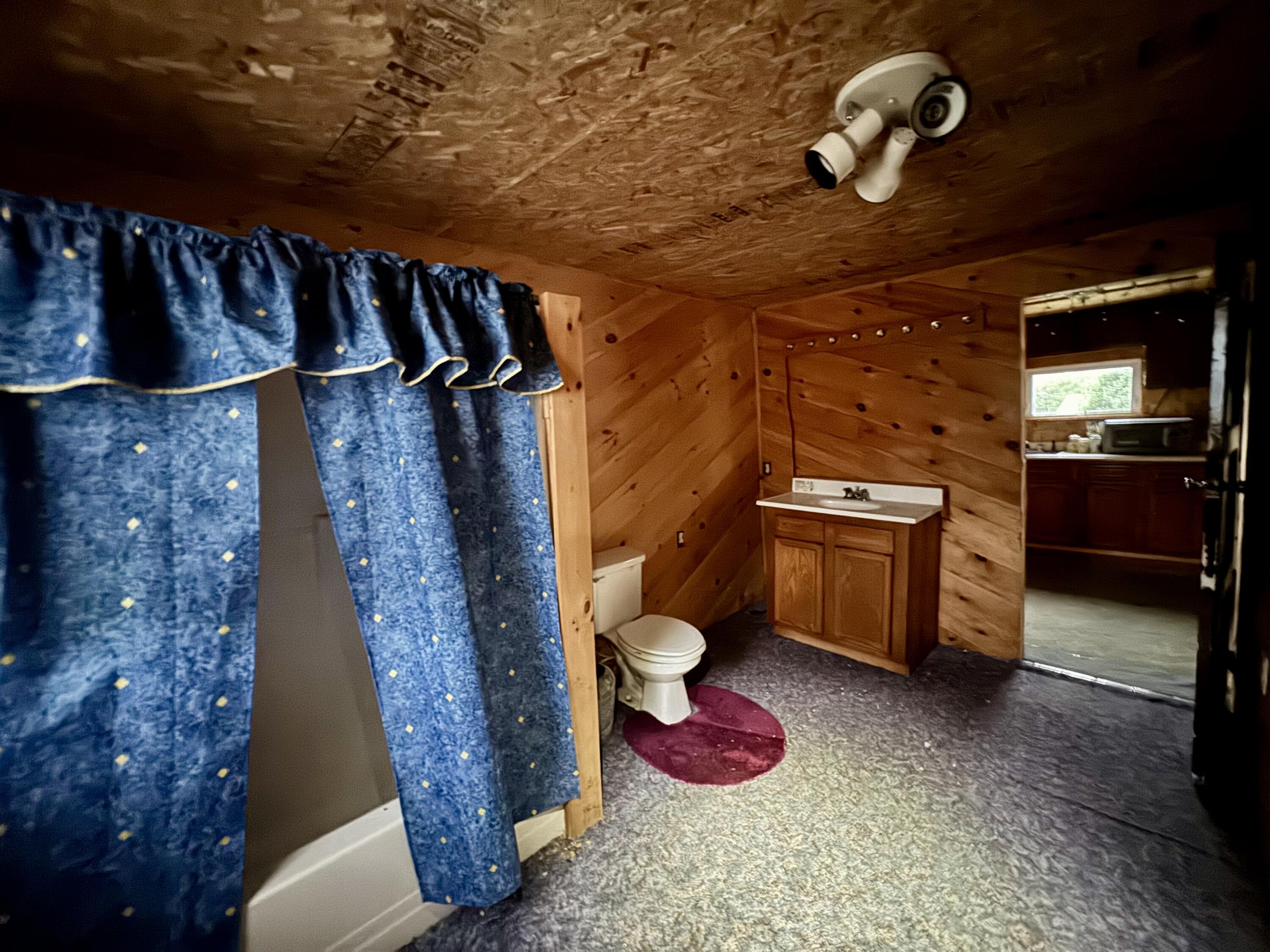 183 Blanche Road Lyon Mountain, NY 12955 - Photo 7 of 12 Bathroom