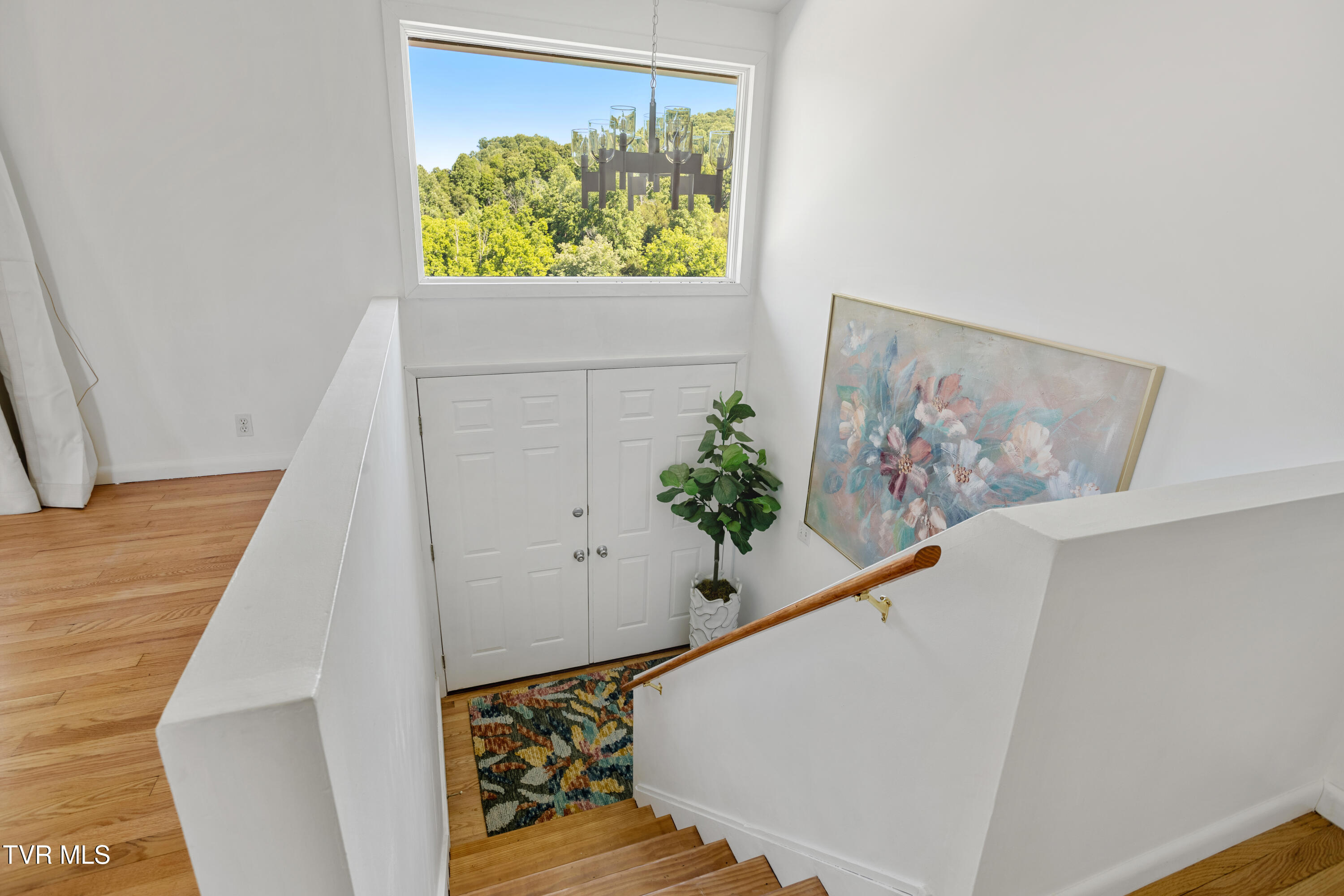 27363 Fudge Road Meadowview, VA 24361 - Photo 17 of 83 177A4348-HDR
