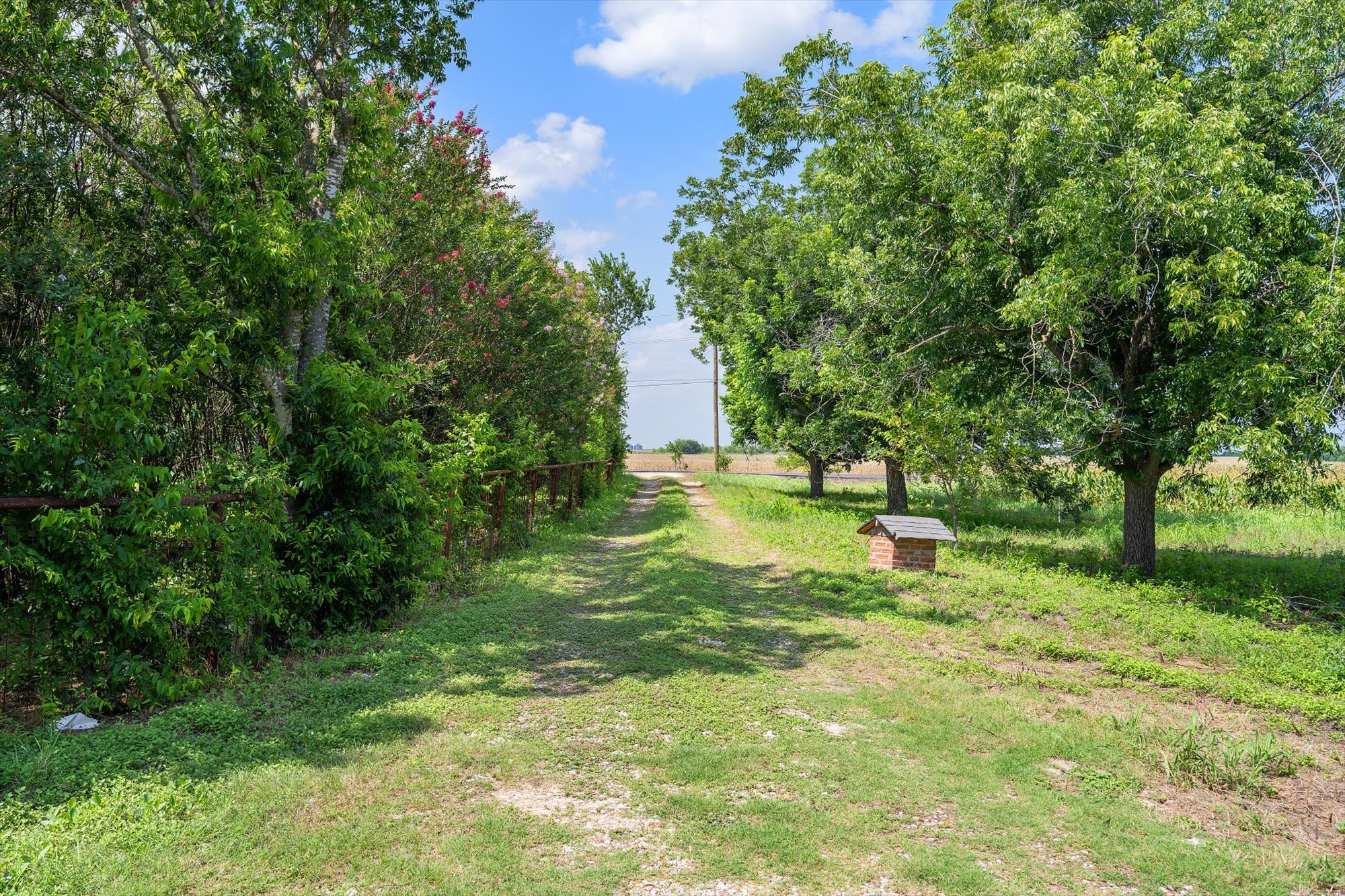 14201 Lund - Carlson Road Coupland, TX 78615 - Photo 10 of 40 A verdant drive leads through lush foliage toward distant open fields.