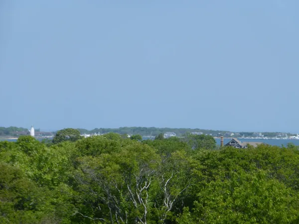 a view of a field of grass and trees