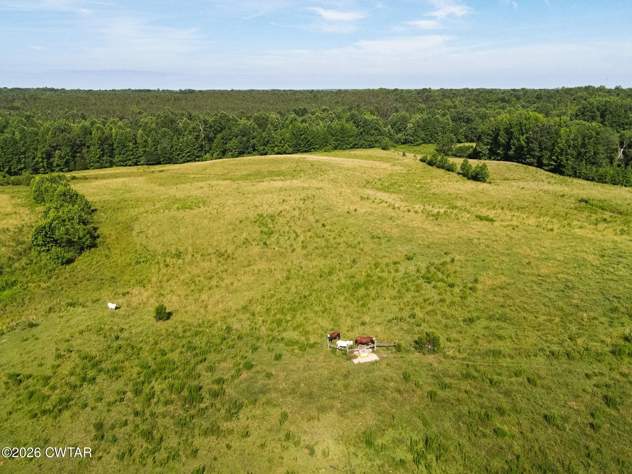 1074 McGee Road Scotts Hill, TN 38374 - Photo 8 of 38 DJI_0599 (Medium)