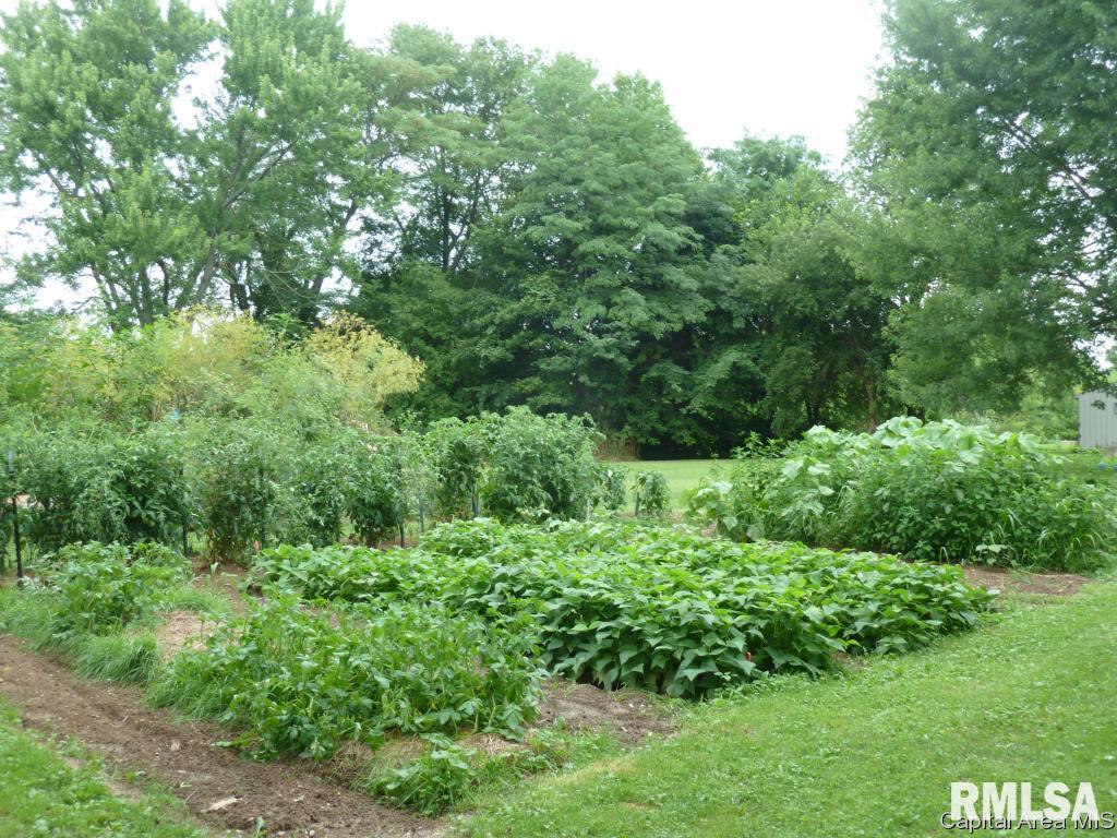2449 East 1900 North Road Moweaqua, IL 62550 - Photo 29 of 33 Gallery Image 29