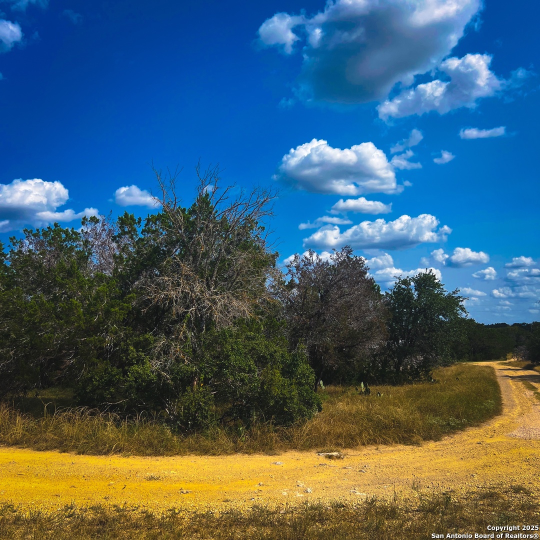 163 Angus Trail Spring Branch, TX 78070 - Photo 1 of 5 a view of a lake with a yard