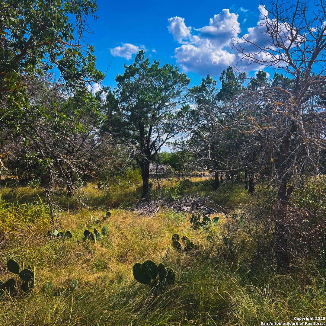 163 Angus Trail Spring Branch, TX 78070 - Photo 2 of 5