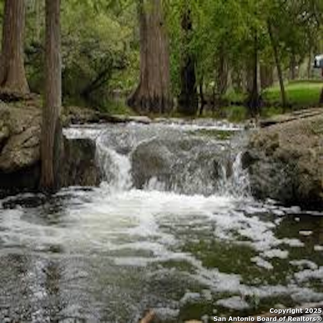 163 Angus Trail Spring Branch, TX 78070 - Photo 5 of 5 a view of a yard with a tree
