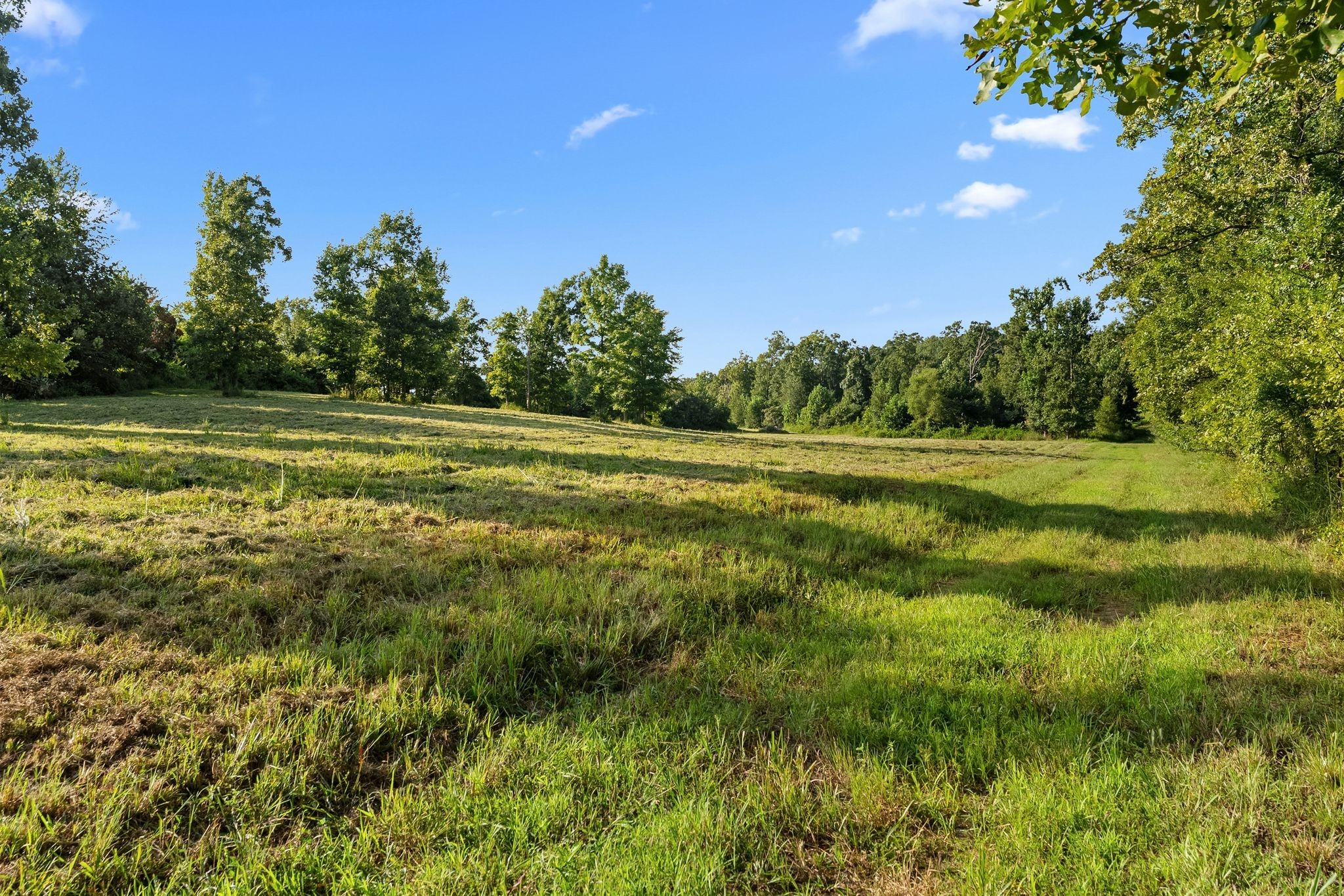 6065 Spencer Road Nunnelly, TN 37137 - Photo 15 of 94 Gallery Image 15