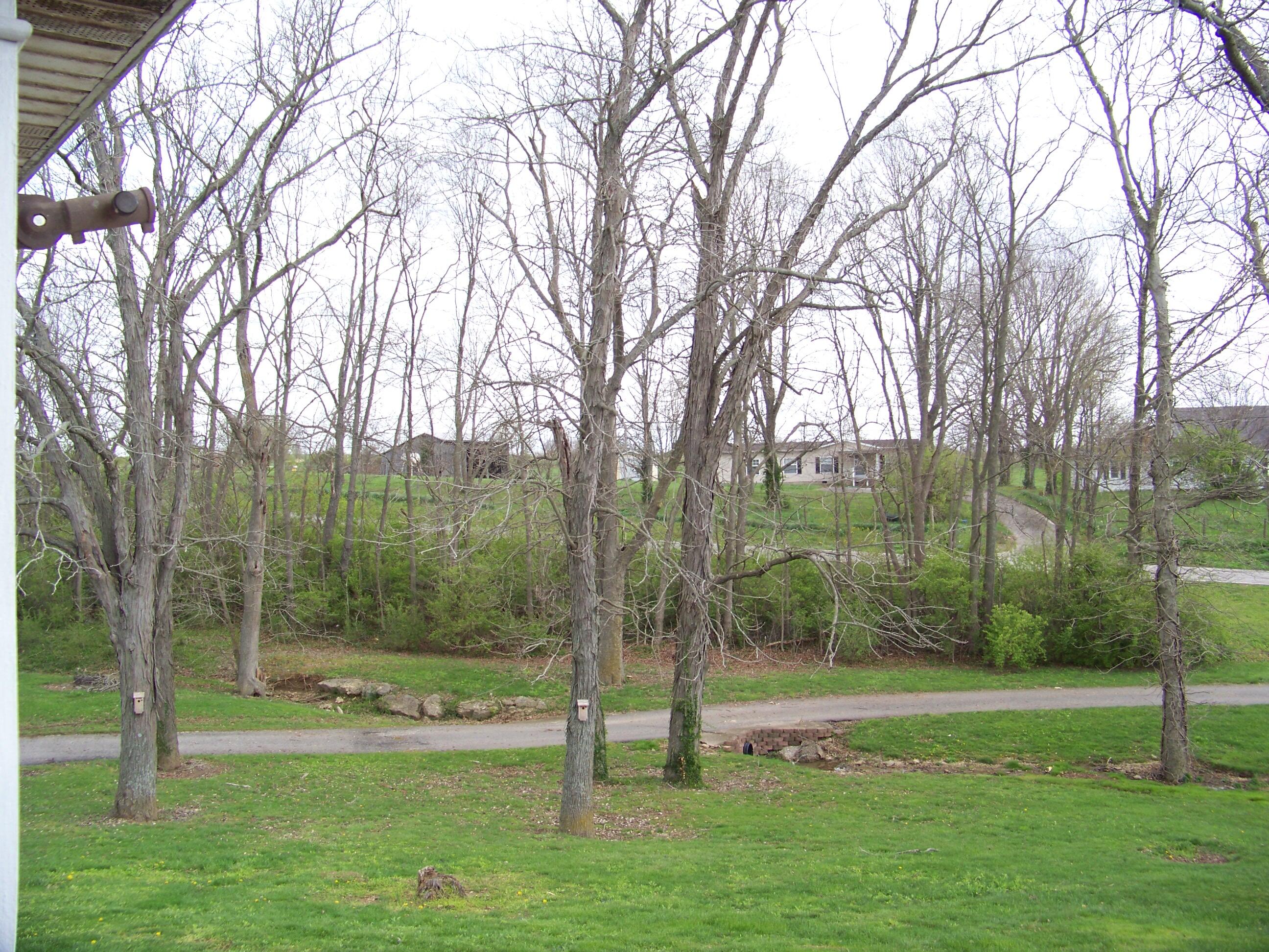 3210 Osborne Road Mount Sterling, KY 40353 - Photo 13 of 57 100_1341