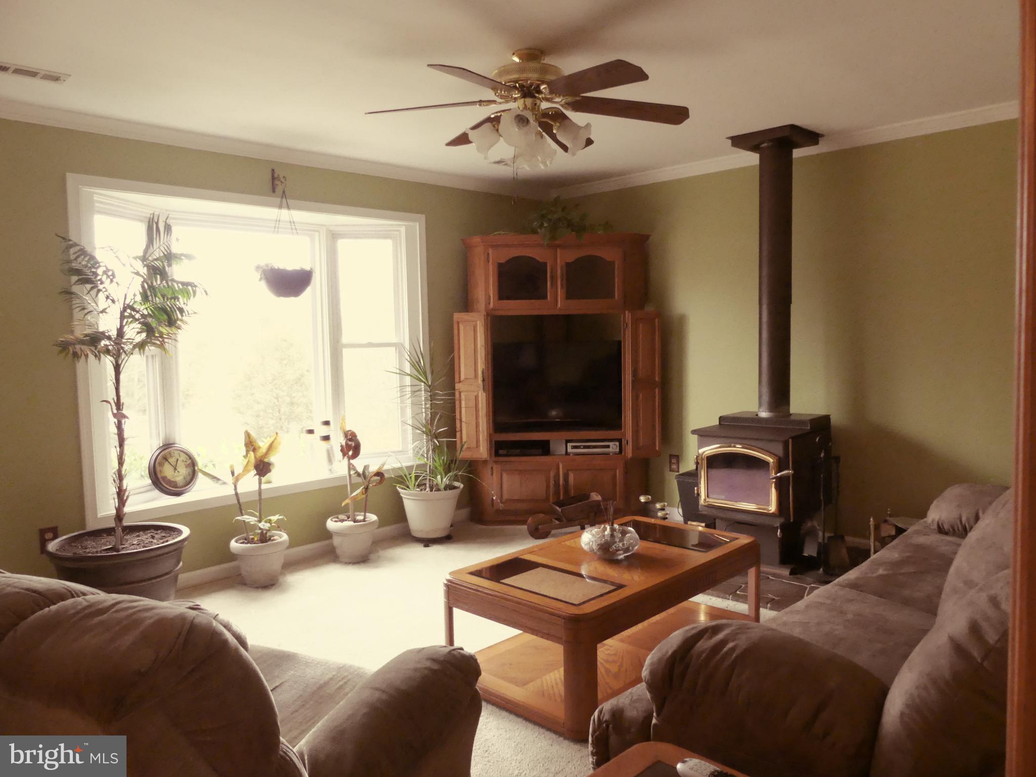 34056 Ridge View Drive Locust Grove, VA 22508 - Photo 7 of 29 Living room with wood stove