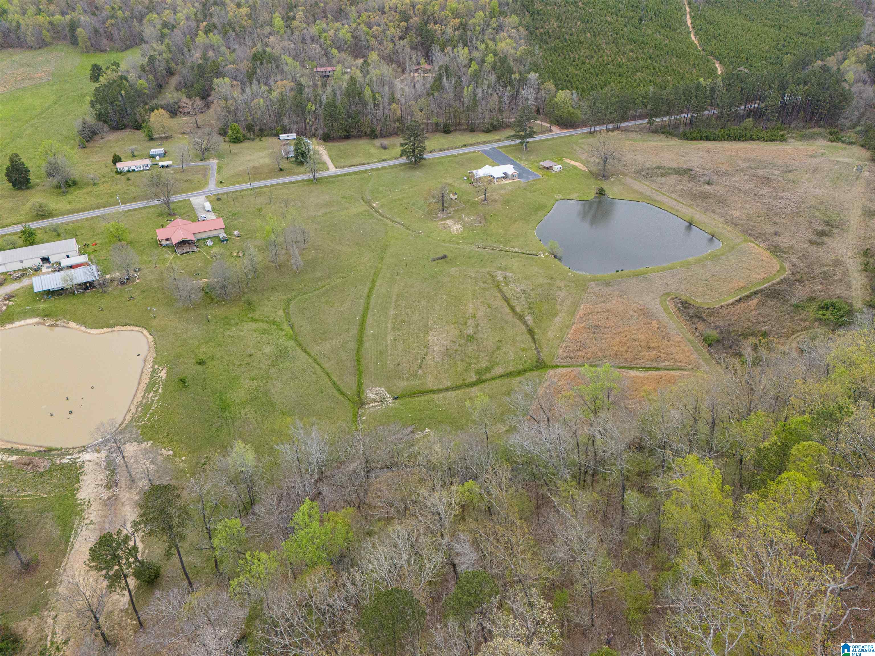 1502 Possum Trot Road Piedmont, AL 36272 - Photo 36 of 42