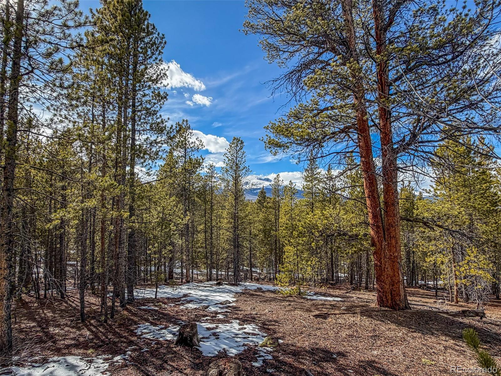 483 Mt Massive Road Twin Lakes, CO 81251 - Photo 2 of 8 a view of outdoor space with trees