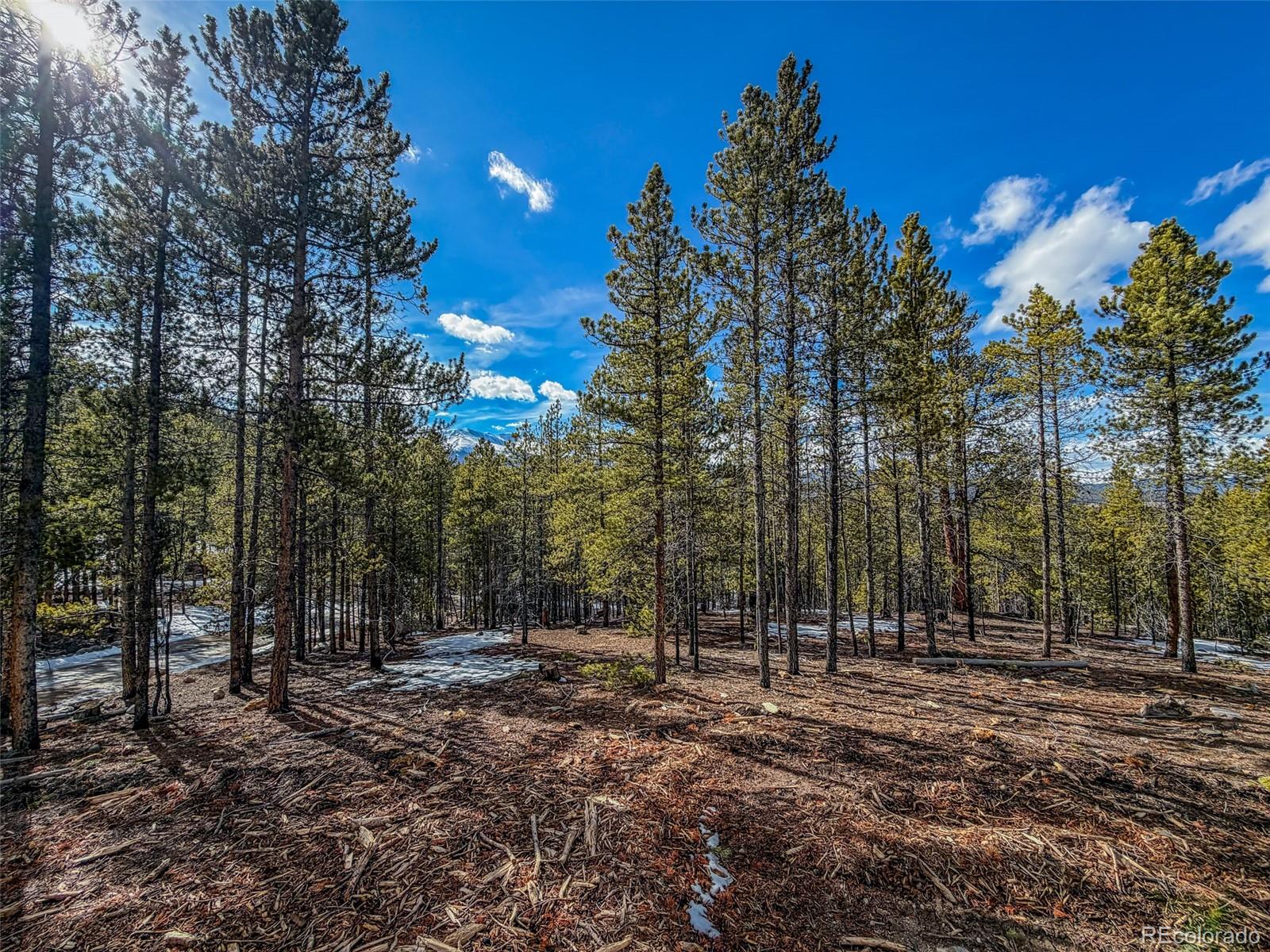 483 Mt Massive Road Twin Lakes, CO 81251 - Photo 4 of 8 a view of outdoor space with trees