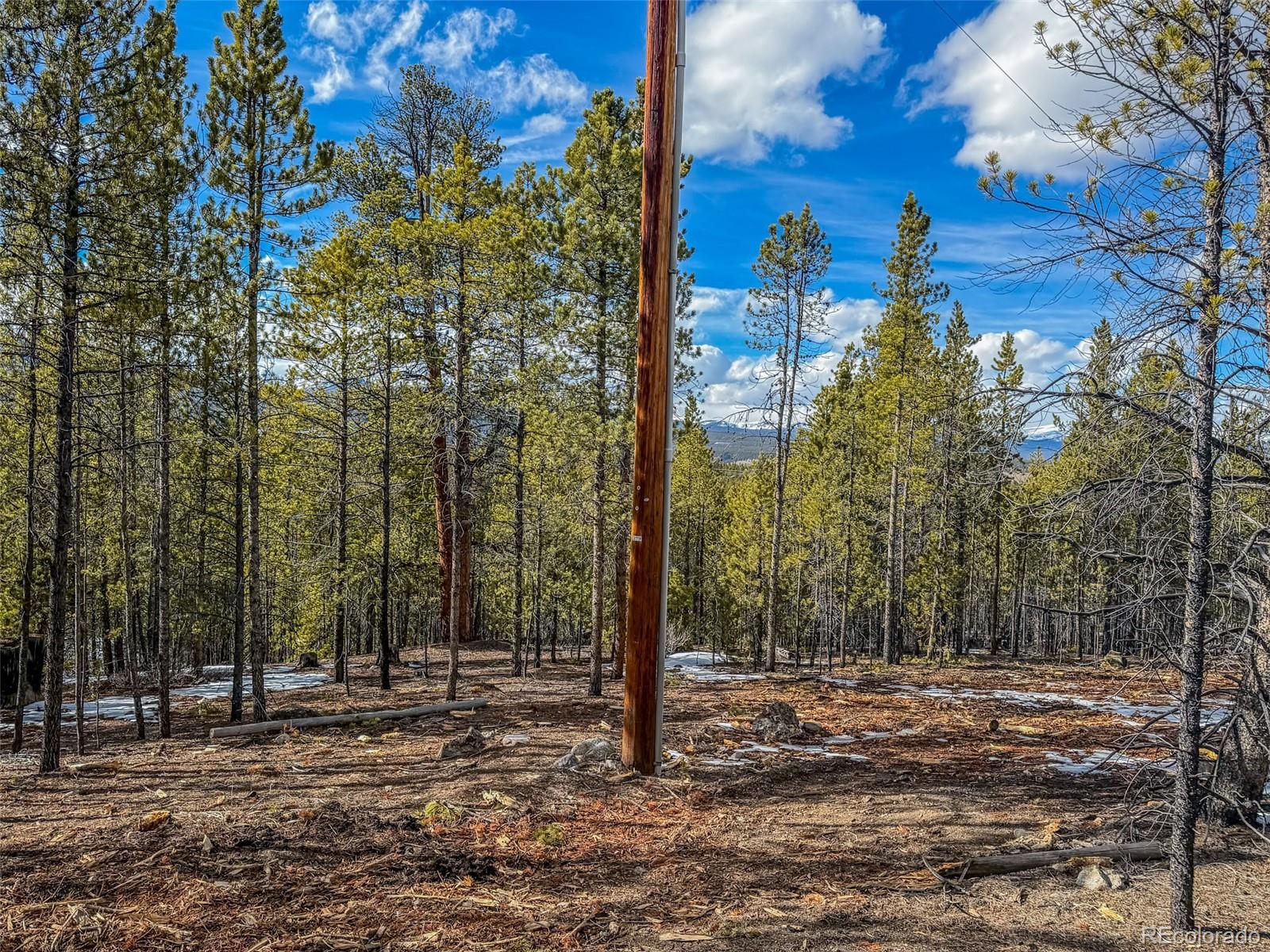 483 Mt Massive Road Twin Lakes, CO 81251 - Photo 6 of 8 a view of a forest filled with trees