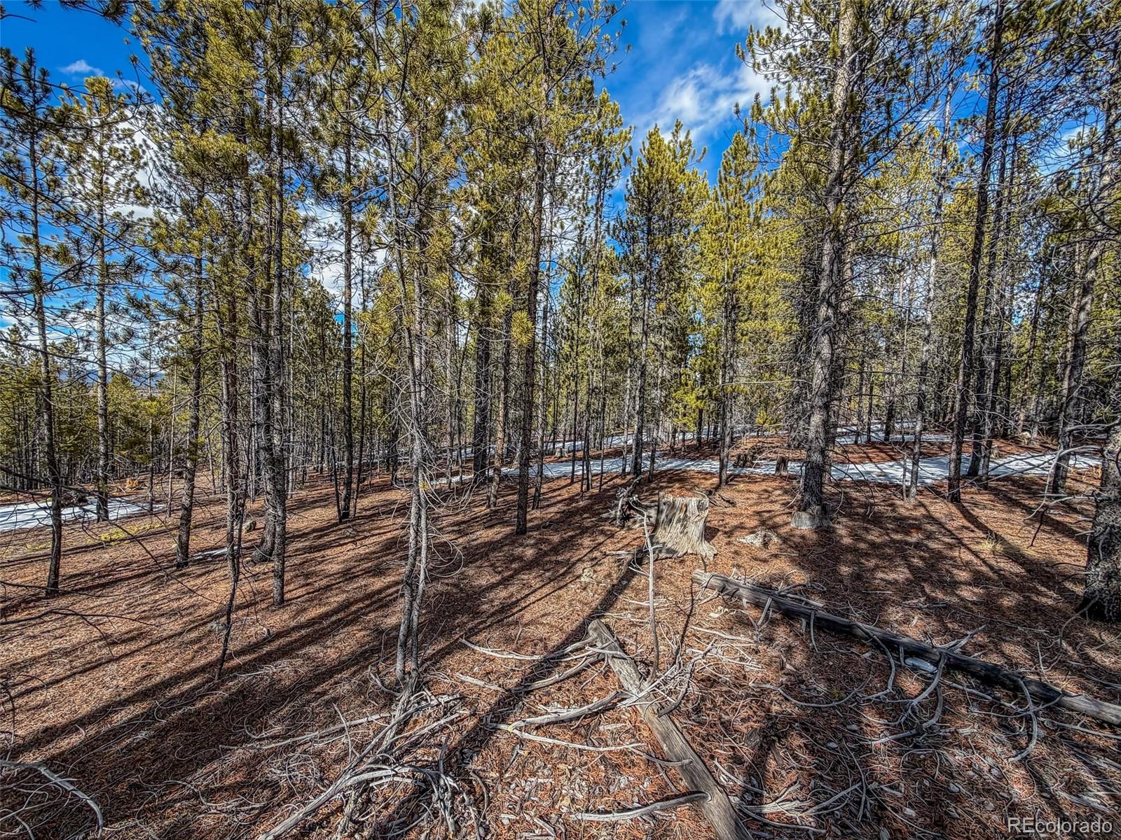483 Mt Massive Road Twin Lakes, CO 81251 - Photo 7 of 8 a view of a yard