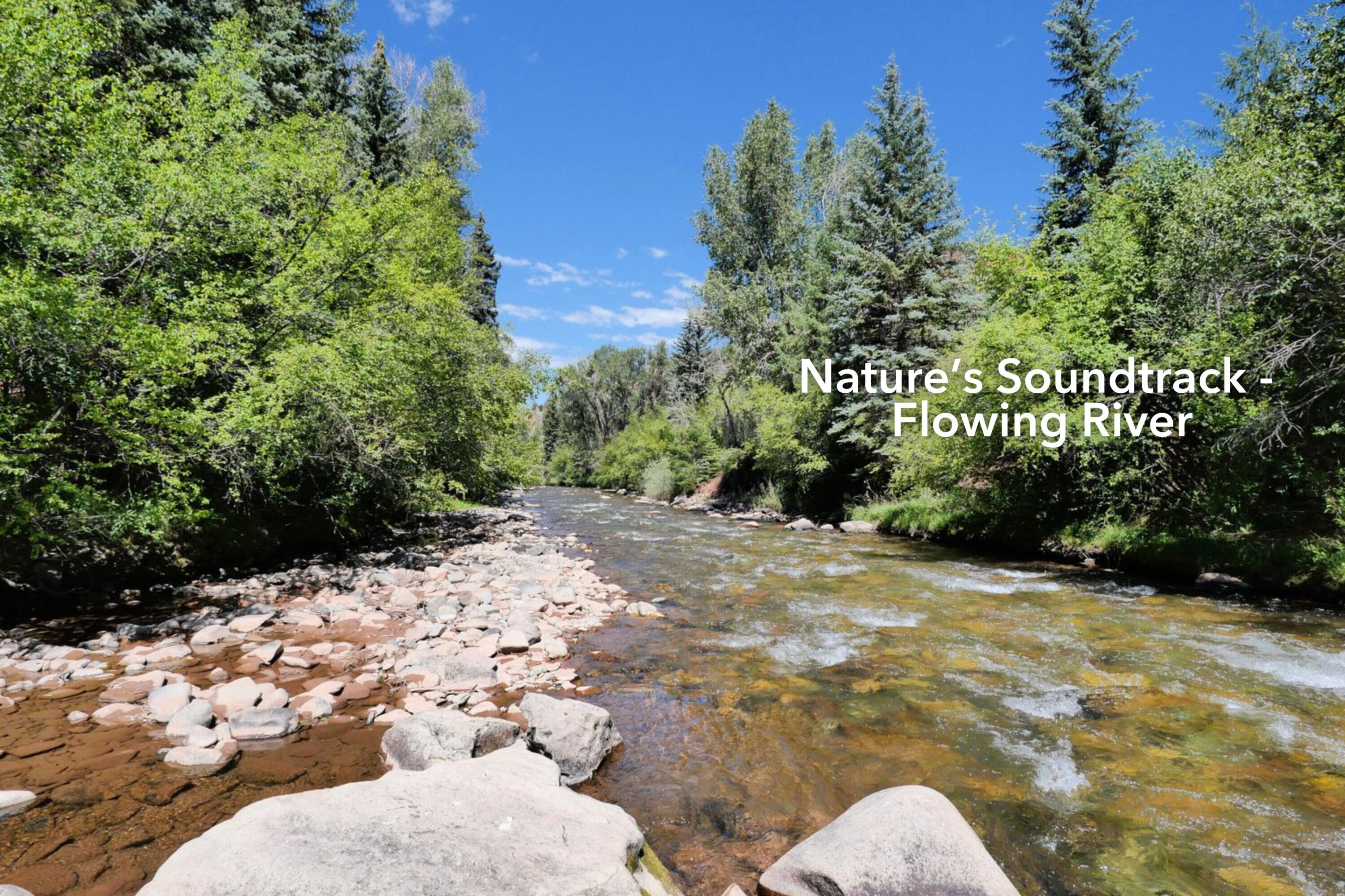 Tbd River Trail Placerville, CO 81430 - Photo 3 of 10 Best (9)