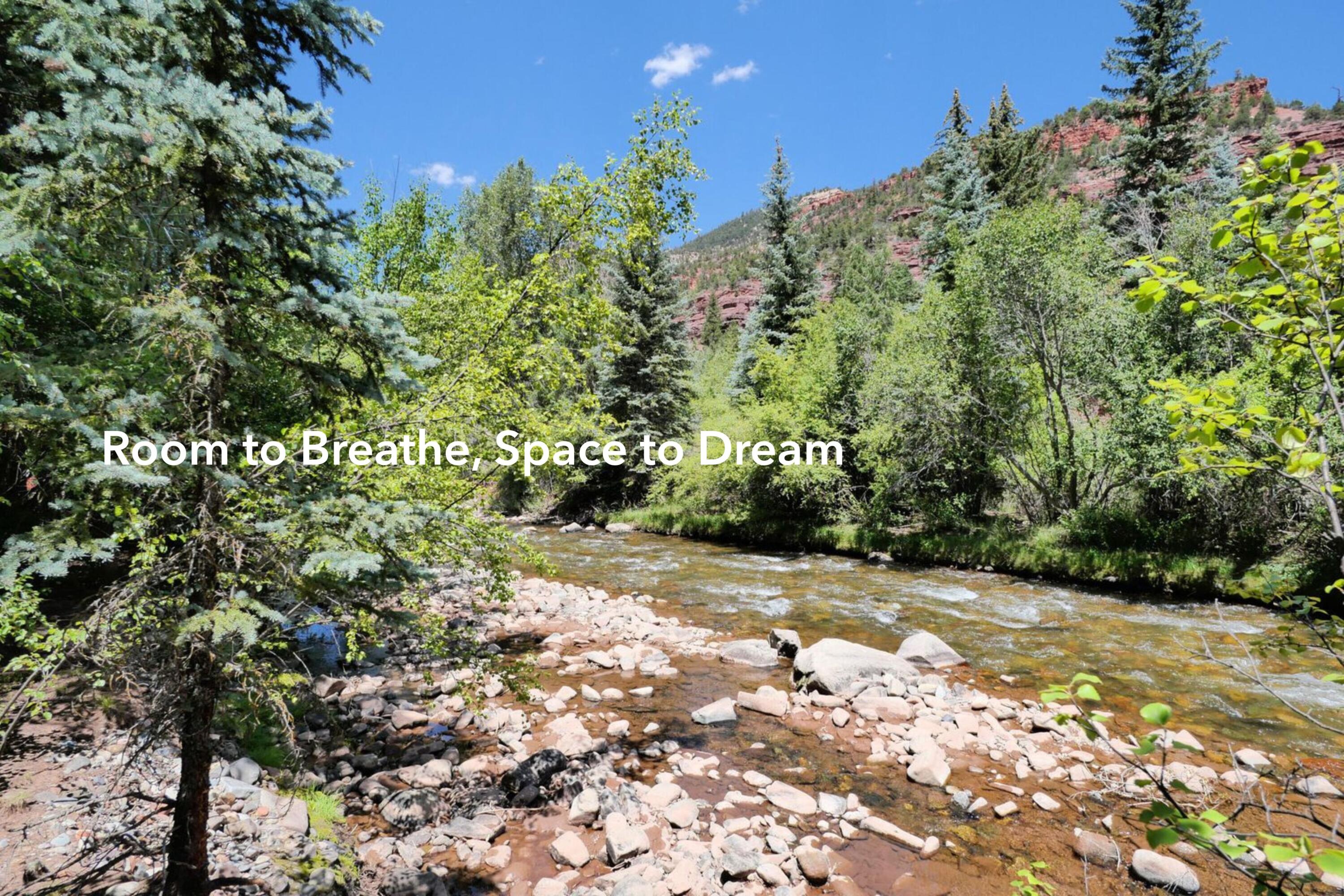 Tbd River Trail Placerville, CO 81430 - Photo 4 of 10 Best (8)