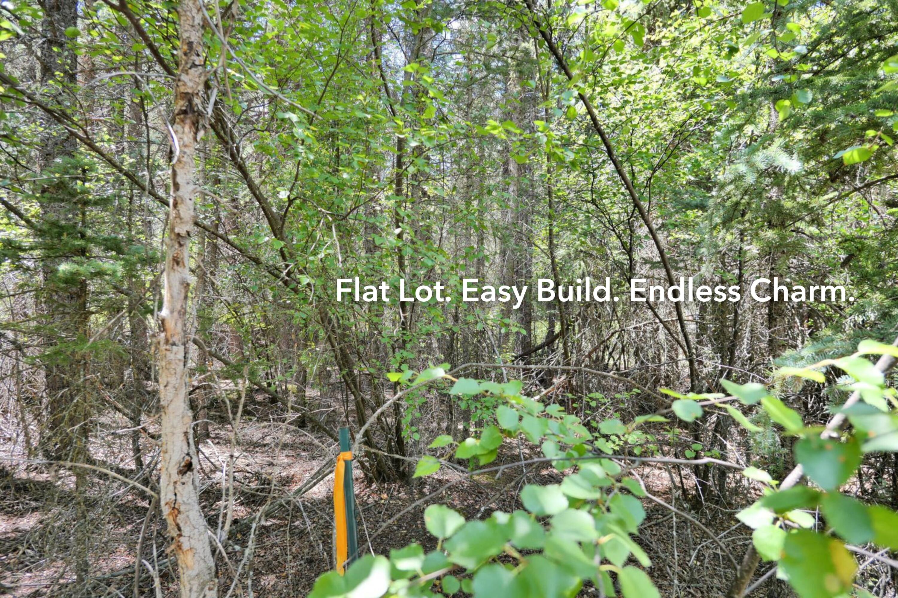 Tbd River Trail Placerville, CO 81430 - Photo 5 of 10 Best (7)