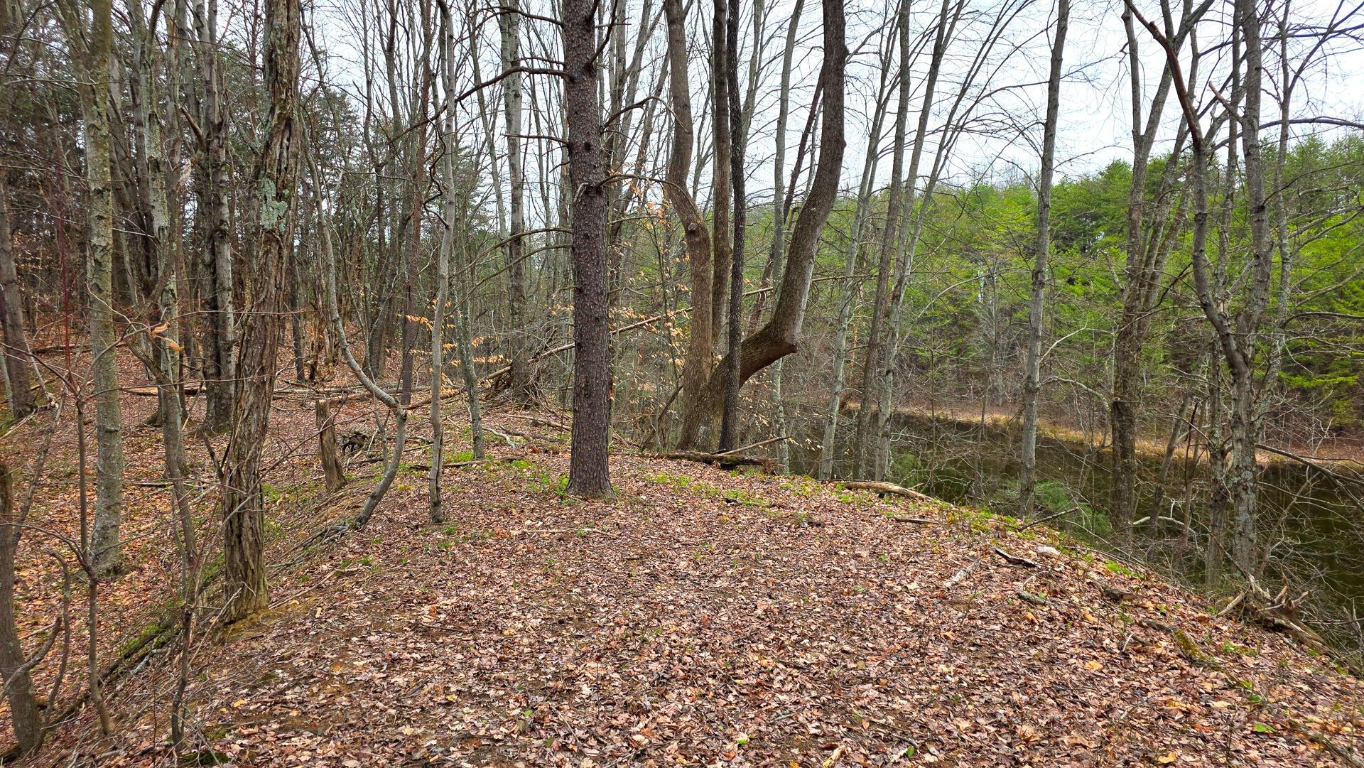 830 Nibert Road, Unit PONDS POPLAR RIDGE TRACT 3) Gallipolis, OH 45631 - Photo 12 of 23 CT-12