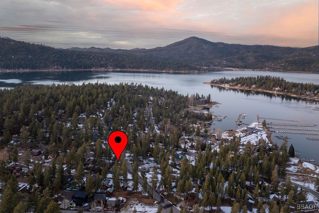 684 Chipmunk Lane Big Bear Lake, CA 92315 - Photo 2 of 49