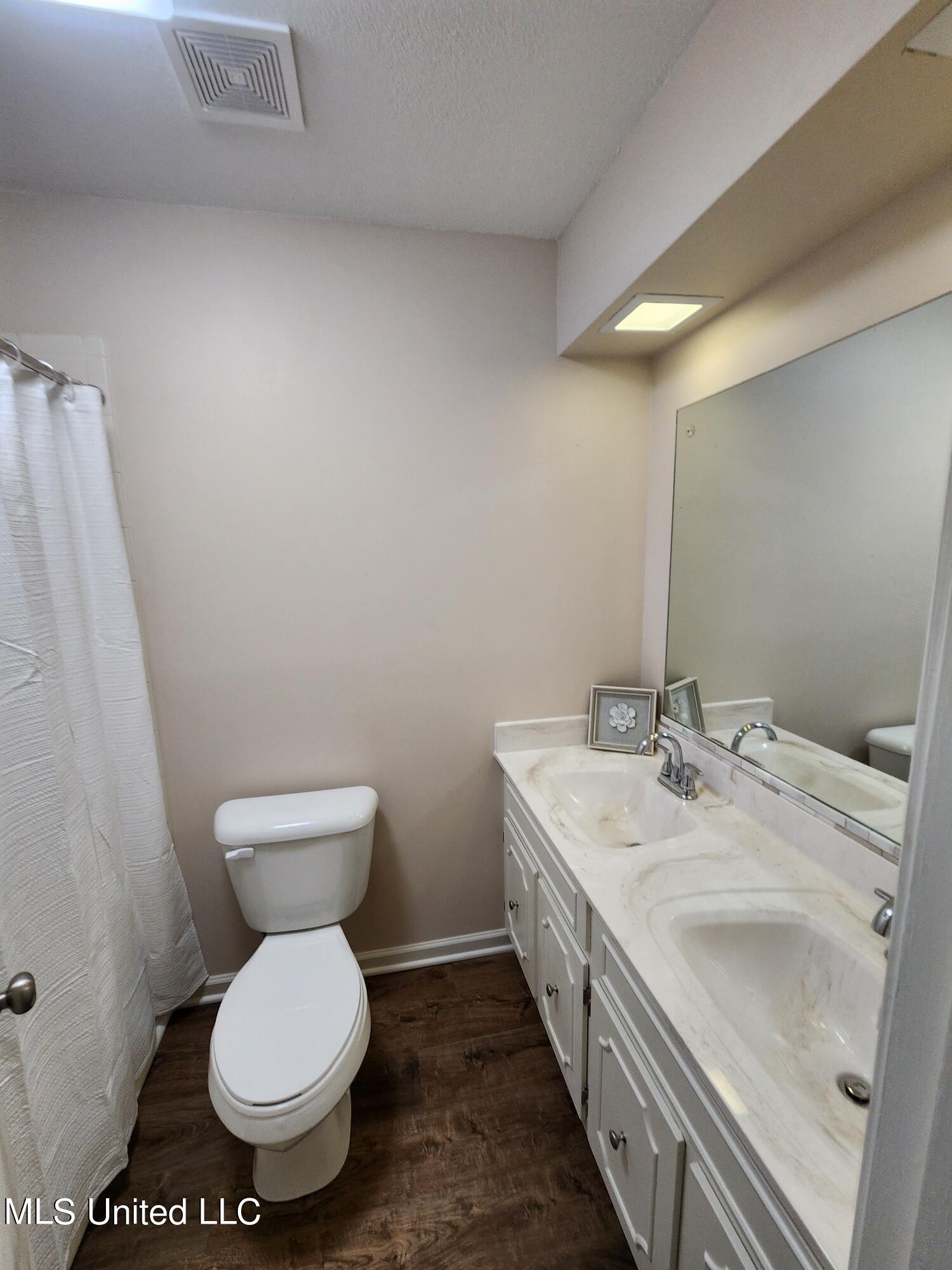 771 Old Forge Road Southaven, MS 38671 - Photo 12 of 19 Hall bath with double sinks