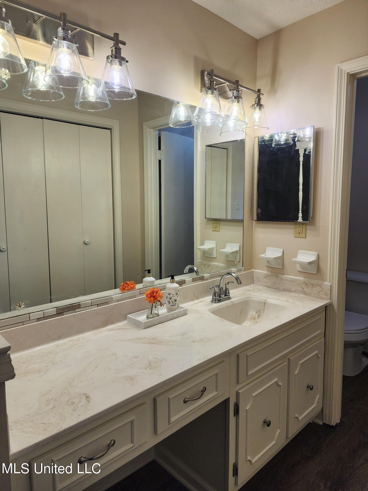 771 Old Forge Road Southaven, MS 38671 - Photo 14 of 19 Primary Vanity