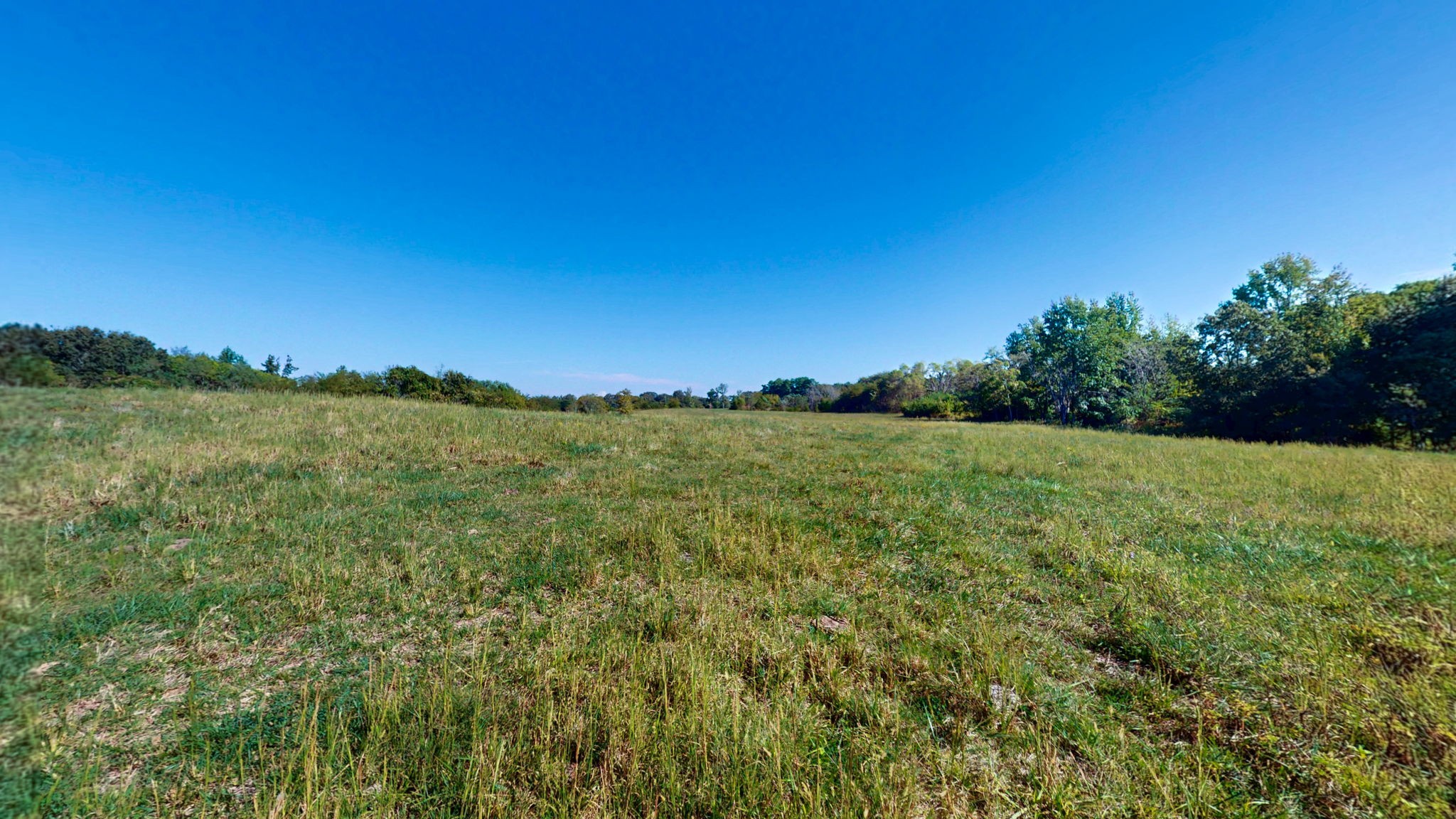 0 Old Murray Paris Road Puryear, TN 38251 - Photo 7 of 18 a view of a field with an ocean