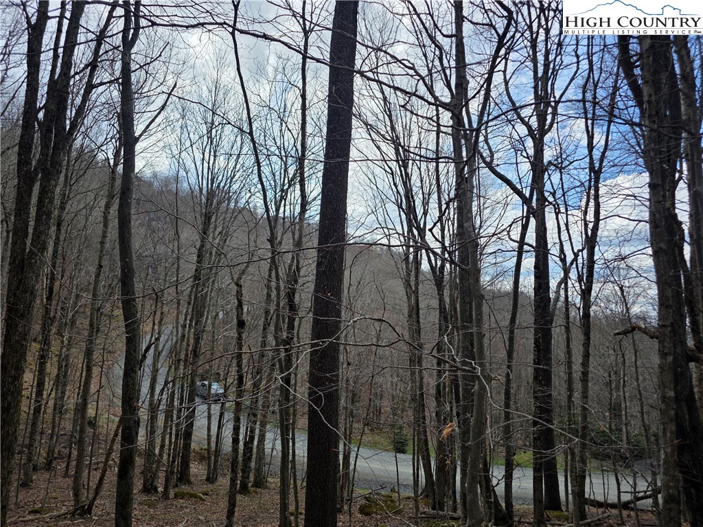 109 Hawthorne Road Beech Mountain, NC 28604 - Photo 2 of 10 a view of a forest with a trees