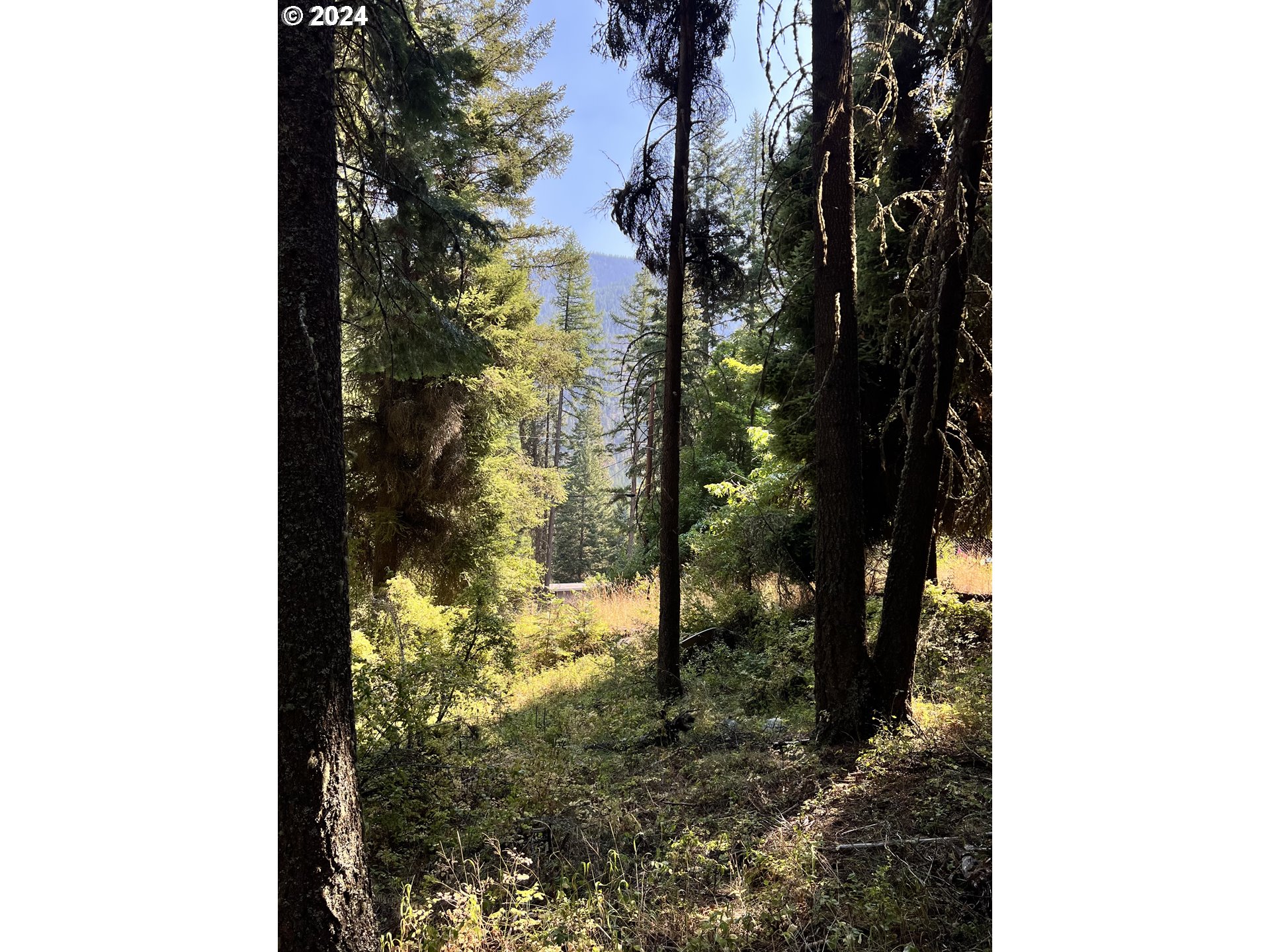 Wilderness Road Joseph, OR 97846 - Photo 3 of 5 a view of a yard