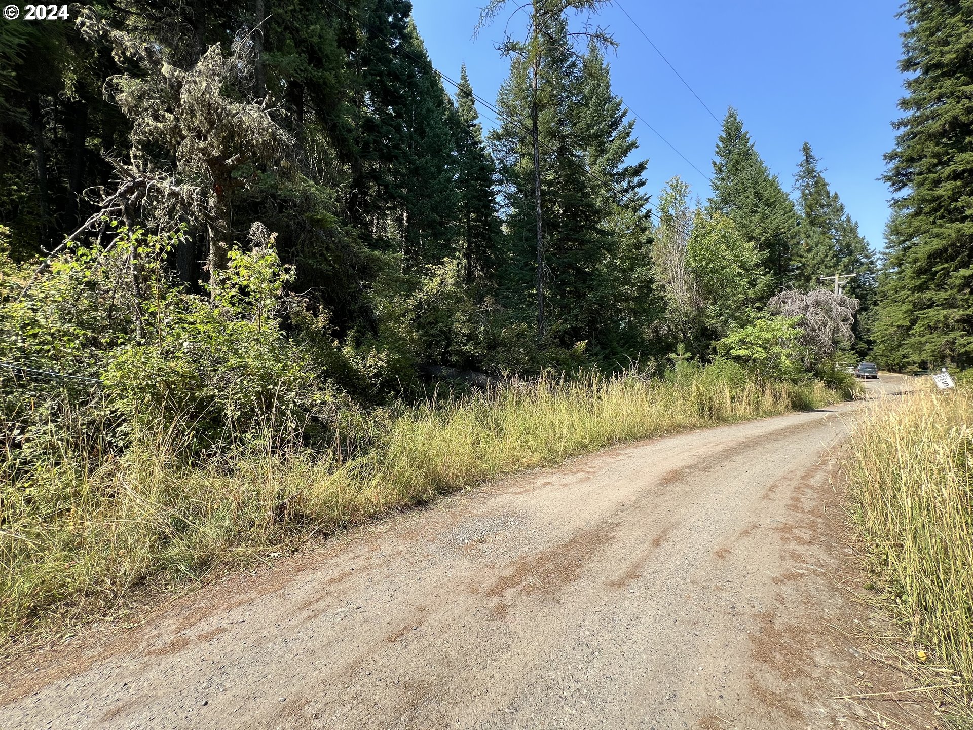 Wilderness Road Joseph, OR 97846 - Photo 5 of 5 a view of a road with a yard