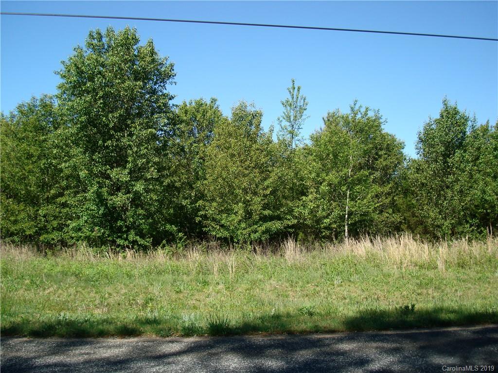 0 Fish Pond Road Cherryville, NC 28021 - Photo 2 of 2