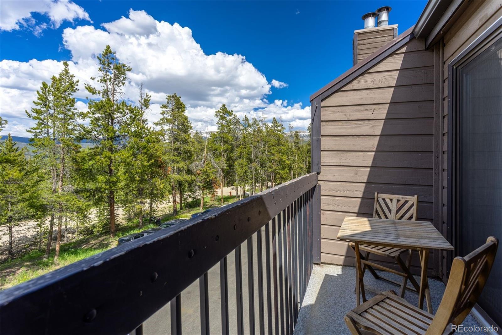 100 Bryant Boulevard, Unit 3 Fraser, CO 80442 - Photo 5 of 29