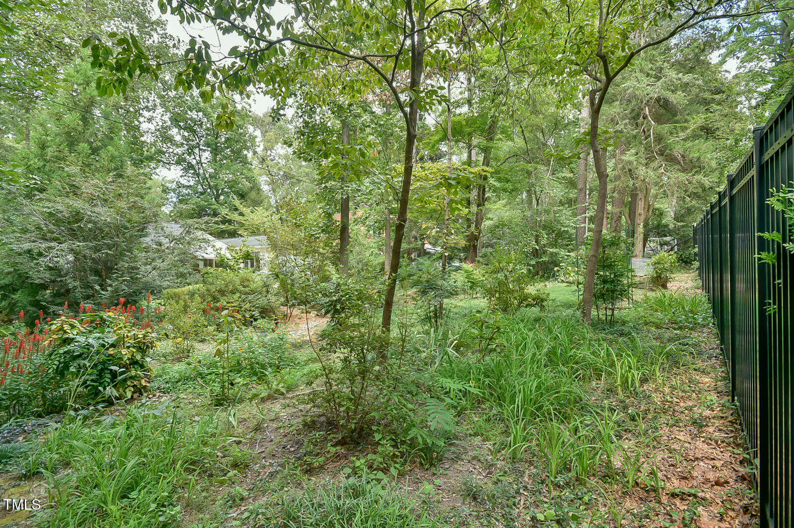 2243 Cranford Road Durham, NC 27705 - Photo 46 of 49 _DSC6202